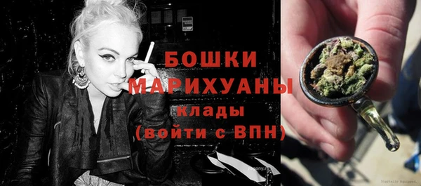 соль ск Богданович