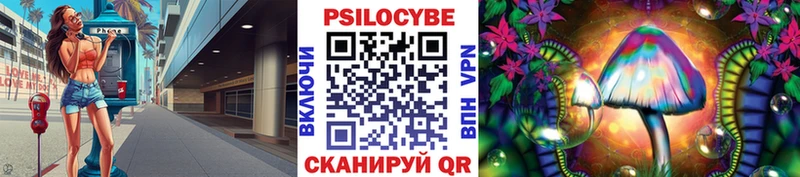 Галлюциногенные грибы Psilocybine cubensis  Борзя 